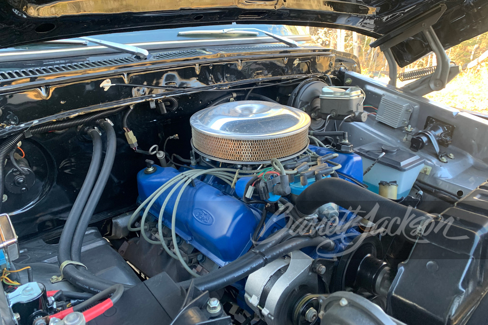 1979 FORD F-150 RANGER - Engine - 261554