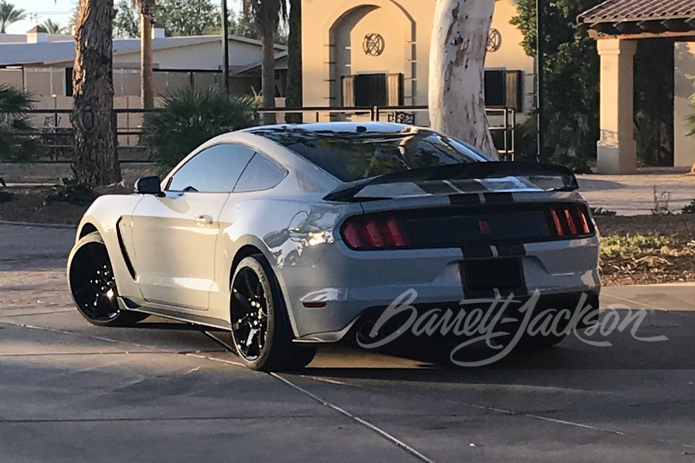 2017 FORD SHELBY GT350R - Misc 5 - 261898