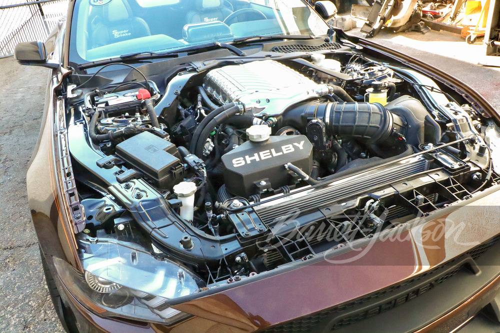 2021 SHELBY SUPER SNAKE COUNT