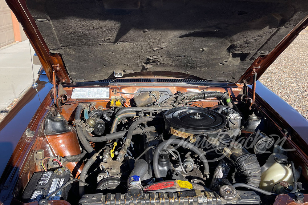 1984 AMC EAGLE WAGON - Engine - 264210
