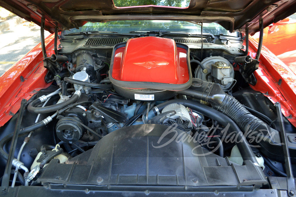 1978 PONTIAC FIREBIRD TRANS AM - Engine - 265124