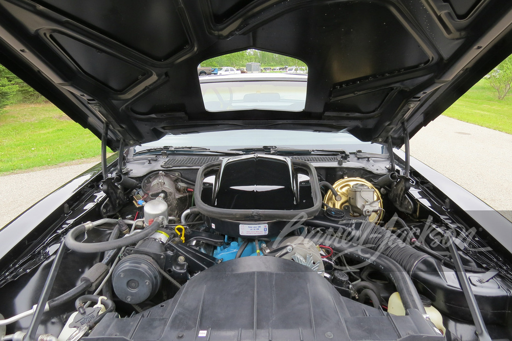 1977 PONTIAC FIREBIRD TRANS AM - Engine - 269254