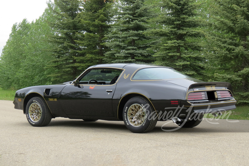 1977 PONTIAC FIREBIRD TRANS AM - Side Profile - 269254