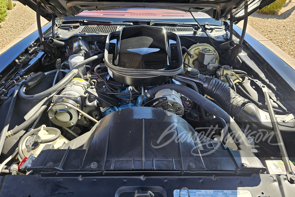 1977 PONTIAC FIREBIRD TRANS AM - Engine - 270978