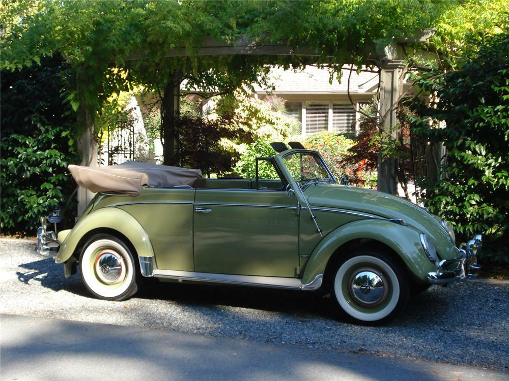 1959 VOLKSWAGEN BEETLE CONVERTIBLE - Side Profile - 43673
