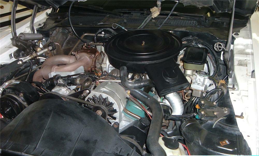 1981 PONTIAC TRANS AM COUPE - Engine - 49656