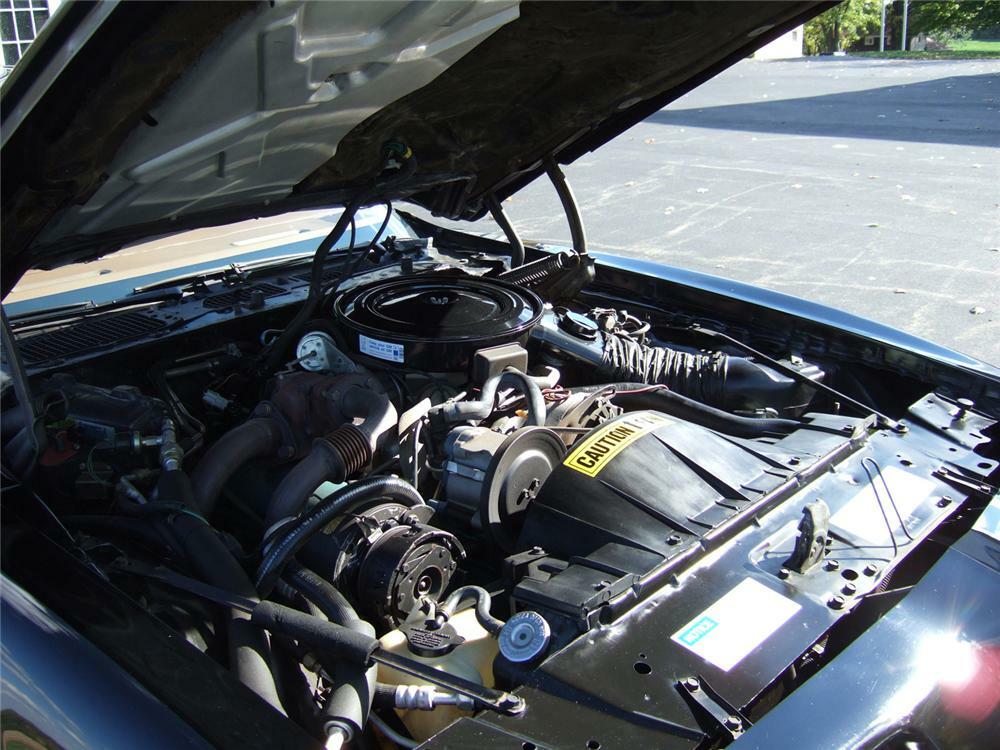 1980 PONTIAC TRANS AM TURBO SPECIAL EDITION - Engine - 61814