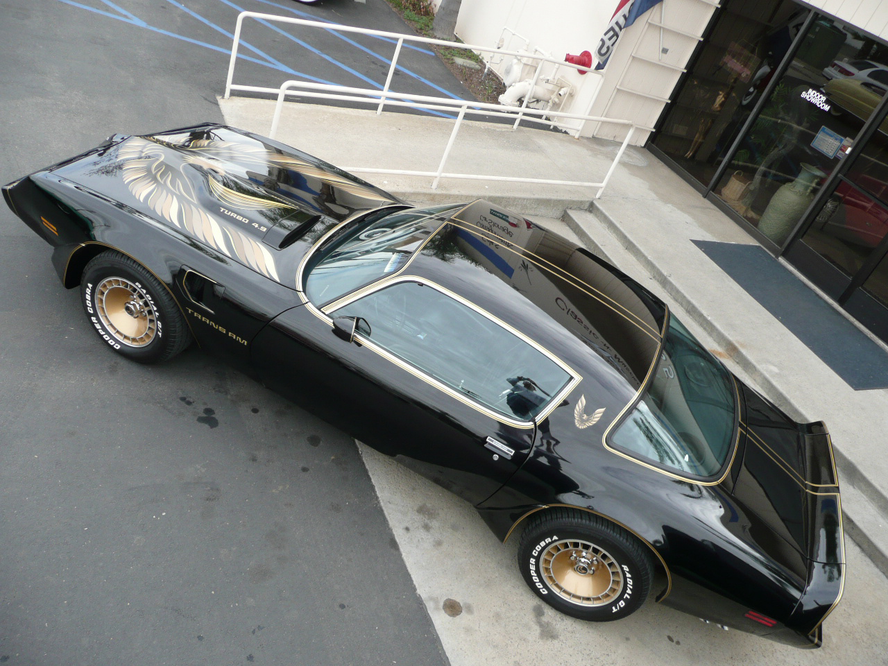 1980 PONTIAC FIREBIRD TRANS AM COUPE BANDIT EDITION - Rear 3/4 - 80993