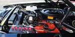 1969 DODGE CHARGER R/T COUPE - Engine - 102313