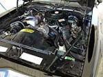 1981 PONTIAC FIREBIRD TRANS AM COUPE - Engine - 113091