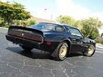 1981 PONTIAC FIREBIRD TRANS AM COUPE - Rear 3/4 - 113091