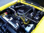 1967 FORD MUSTANG CUSTOM FASTBACK - Engine - 116452