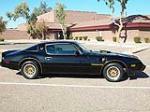 1979 PONTIAC FIREBIRD TRANS AM COUPE - Side Profile - 117768