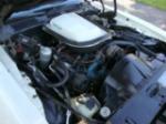 1977 PONTIAC FIREBIRD TRANS AM COUPE - Engine - 125856