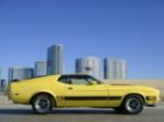 1973 FORD MUSTANG MACH 1 FASTBACK - Side Profile - 139038