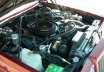 1982 BUICK RIVIERA CONVERTIBLE - Engine - 154088