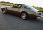 1978 PONTIAC TRANS AM CUSTOM 2 DOOR COUPE - Rear 3/4 - 161900