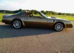 1978 PONTIAC TRANS AM CUSTOM 2 DOOR COUPE - Side Profile - 161900