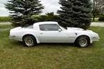 1978 PONTIAC FIREBIRD TRANS AM - Rear 3/4 - 187079