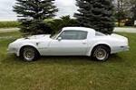 1978 PONTIAC FIREBIRD TRANS AM - Side Profile - 187079