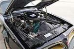 1977 PONTIAC FIREBIRD TRANS AM BANDIT SPECIAL EDITION - Engine - 189188