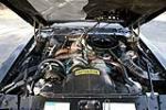 1980 PONTIAC FIREBIRD TRANS AM BANDIT SPECIAL EDITION - Engine - 189190