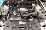 2008 SALEEN MUSTANG S302 EXTREME 25TH ANNIVERSARY - Engine - 189916