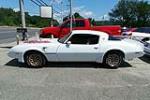 1979 PONTIAC FIREBIRD TRANS AM - Side Profile - 195617