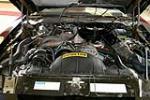 1981 PONTIAC TRANS AM SE BANDIT EDITION - Engine - 196472