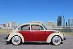 1975 VOLKSWAGEN BEETLE  - Side Profile - 199140