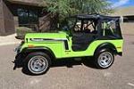 1974 JEEP CJ-5 RENEGADE - Side Profile - 200853