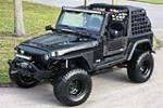 2003 JEEP WRANGLER 4X4 CUSTOM SUV - Front 3/4 - 206530