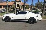 2009 FORD SHELBY GT500 - Side Profile - 213124