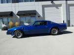 1978 PONTIAC FIREBIRD TRANS AM - Side Profile - 213237