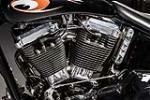 1997 CUSTOM MOTORCYCLE - Engine - 213421