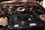 1982 PONTIAC FIREBIRD TRANS AM CUSTOM COUPE - Engine - 213821