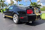 2006 FORD SHELBY GT-H MUSTANG - Side Profile - 221803