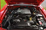 1993 FORD MUSTANG SVT COBRA R - Engine - 224174