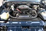 1985 PONTIAC TRANS AM CUSTOM CONVERTIBLE - Engine - 224552