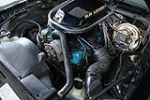 1979 PONTIAC FIREBIRD TRANS AM BANDIT EDITION - Engine - 224711
