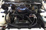 1983 CHEVROLET CAMARO BERLINETTA - Engine - 225970