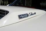 1969 FORD MUSTANG GT 428 CJ CONVERTIBLE - Misc 1 - 225998