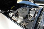 1982 CHEVROLET CORVETTE COLLECTOR'S EDITION - Engine - 229823