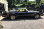 1977 PONTIAC FIREBIRD TRANS AM - Side Profile - 231800