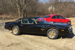 1976 PONTIAC FIREBIRD TRANS AM COUPE - Side Profile - 232505