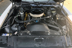 1981 PONTIAC FIREBIRD FORMULA - Engine - 234038