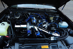 1987 BUICK REGAL LIMITED - Engine - 235470