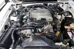 1993 FORD MUSTANG LX - Engine - 237122