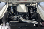 1976 PONTIAC FIREBIRD TRANS AM  CUSTOM COUPE - Engine - 238983