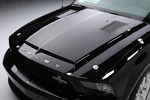 2009 FORD SHELBY GT500KR - Misc 33 - 242430